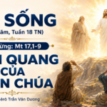 LỜI SỐNG (Thứ Năm, Tuần 18 TN)