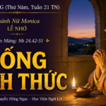 LỜI SỐNG (Thứ Năm, Tuần 21 TN)