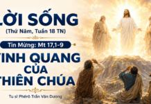 LỜI SỐNG (Thứ Năm, Tuần 18 TN)