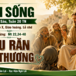 LỜI SỐNG (Thứ Sáu, Tuần 20 TN)