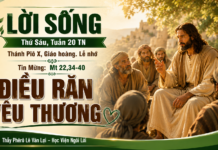 LỜI SỐNG (Thứ Sáu, Tuần 20 TN)
