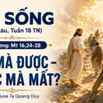 LỜI SỐNG (Thứ Sáu, Tuần 18 TN)