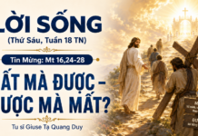 LỜI SỐNG (Thứ Sáu, Tuần 18 TN)