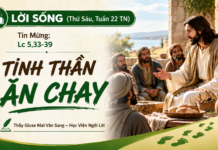 LỜI SỐNG (Thứ Sáu, Tuần 22 TN)