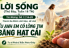 LỜI SỐNG (Thứ Bảy, Tuần 18 TN)