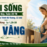 LỜI SỐNG (Thứ Bảy, Tuần 20 TN)