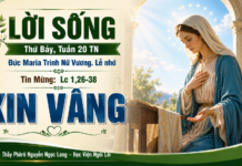 LỜI SỐNG (Thứ Bảy, Tuần 20 TN)