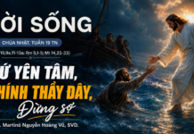 LỜI SỐNG (Chúa Nhật, Tuần 19 TN)