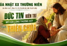 CHÚA NHẬT XX THƯỜNG NIÊN – NĂM A