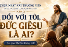 LỜI SỐNG (Chúa Nhật, Tuần 21 TN – NĂM A)