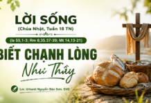 LỜI SỐNG (Chúa Nhật, Tuần 18 TN)