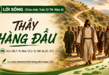 LỜI SỐNG (Chúa Nhật, Tuần 22 TN – NĂM A)
