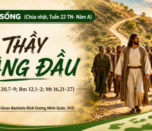 LỜI SỐNG (Chúa Nhật, Tuần 22 TN – NĂM A)