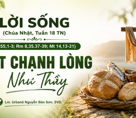 LỜI SỐNG (Chúa Nhật, Tuần 18 TN)