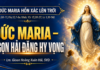 BÀI GIẢNG LỄ ĐỨC MARIA HỒN XÁC LÊN TRỜI (Lễ Chính Ngày)