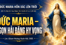 BÀI GIẢNG LỄ ĐỨC MARIA HỒN XÁC LÊN TRỜI (Lễ Chính Ngày)