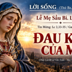 LỜI SỐNG (Thứ Ba, Tuần 24 TN)
