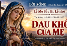 LỜI SỐNG (Thứ Ba, Tuần 24 TN)