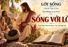 LỜI SỐNG (Thứ Ba, Tuần 25 TN)