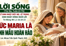 LỜI SỐNG (Thứ Ba, Tuần 23 TN)