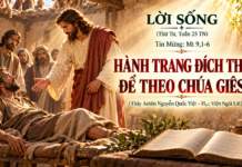 LỜI SỐNG (Thứ Tư, Tuần 25 TN)