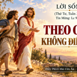 LỜI SỐNG (Thứ Tư, Tuần 26 TN)