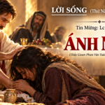 LỜI SỐNG (Thứ Năm, Tuần 24 TN)