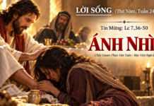 LỜI SỐNG (Thứ Năm, Tuần 24 TN)