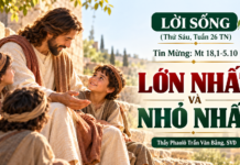 LỜI SỐNG (Thứ Sáu, Tuần 26 TN)