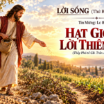 LỜI SỐNG (Thứ Bảy, Tuần 24 TN)