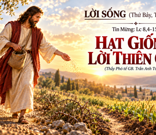 LỜI SỐNG (Thứ Bảy, Tuần 24 TN)