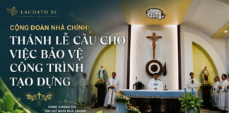 LAUDATO SI’ CỘNG ĐOÀN NHÀ CHÍNH: THÁNH LỄ CẦU CHO VIỆC BẢO VỆ CÔNG TRÌNH TẠO DỰNG