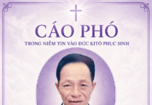 AI TÍN