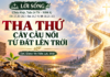 LỜI SỐNG (Chúa Nhật, Tuần 24 TN – NĂM A)