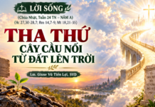 LỜI SỐNG (Chúa Nhật, Tuần 24 TN – NĂM A)
