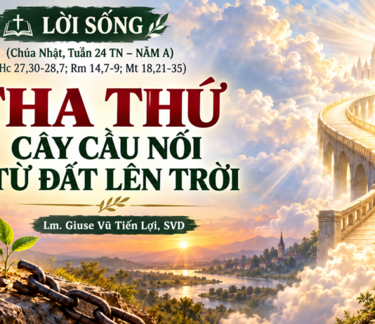 LỜI SỐNG (Chúa Nhật, Tuần 24 TN – NĂM A)