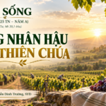 LỜI SỐNG (Chúa Nhật, Tuần 25 TN – NĂM A)