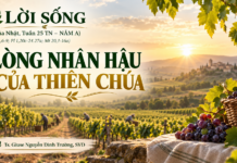 LỜI SỐNG (Chúa Nhật, Tuần 25 TN – NĂM A)