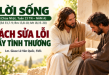 LỜI SỐNG (Chúa Nhật, Tuần 23 TN – NĂM A)