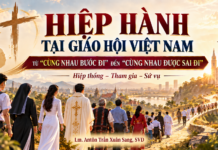 HIỆP HÀNH TẠI GIÁO HỘI VIỆT NAM: TỪ “CÙNG NHAU BƯỚC ĐI” ĐẾN “CÙNG NHAU ĐƯỢC SAI ĐI”