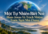 Một Tự Nhiên Biết Nói: Hans Jonas Và Trách Nhiệm Trước Ngôi Nhà Chung