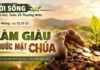 LỜI SỐNG (Thứ Hai, Tuần 29 TN)