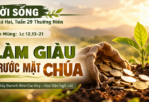 LỜI SỐNG (Thứ Hai, Tuần 29 TN)