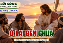 LỜI SỐNG (Thứ Ba, Tuần 27 TN)