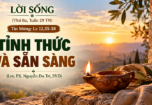 LỜI SỐNG (Thứ Ba, Tuần 29 TN)