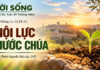 LỜI SỐNG (Thứ Ba, Tuần 30 TN)