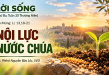 LỜI SỐNG (Thứ Ba, Tuần 30 TN)