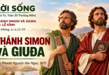 LỜI SỐNG (Thứ Tư, Tuần 30 TN)