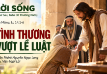 LỜI SỐNG (Thứ Sáu, Tuần 30 TN)