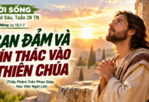 LỜI SỐNG (Thứ Sáu, Tuần 28 TN)